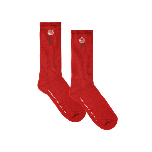 Dandelion Red Socks