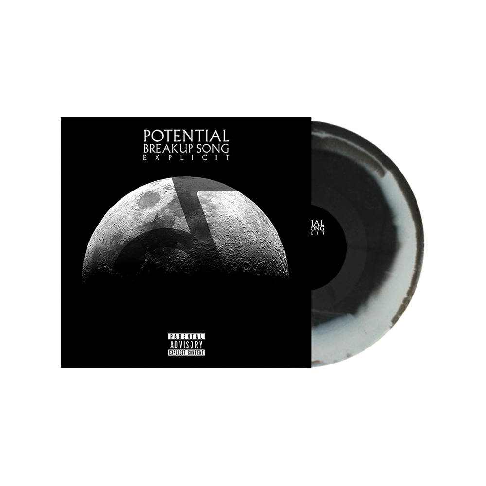 Potential Break Up Song Vinyl - Misc