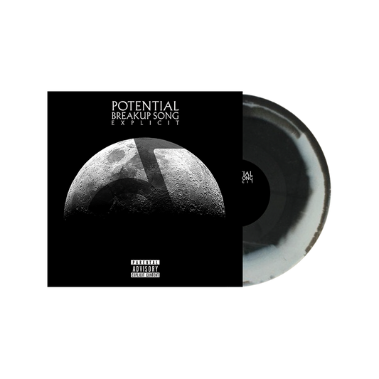 Potential Break Up Song Vinyl - Misc