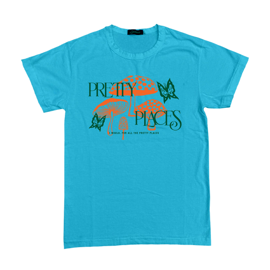 Sportsman Stanley Pretty Places Aqua Tee